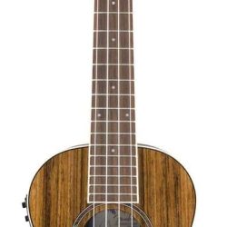 Rincon Tenor Ukulele V2, Ovangkol Fingerboard, Natural, with Gig Bag